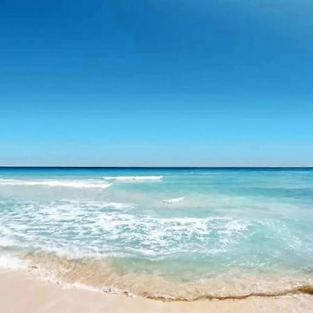 Lovely 1 Bedroom Unit Across From Lido Key Beach Sarasota Zewnętrze zdjęcie