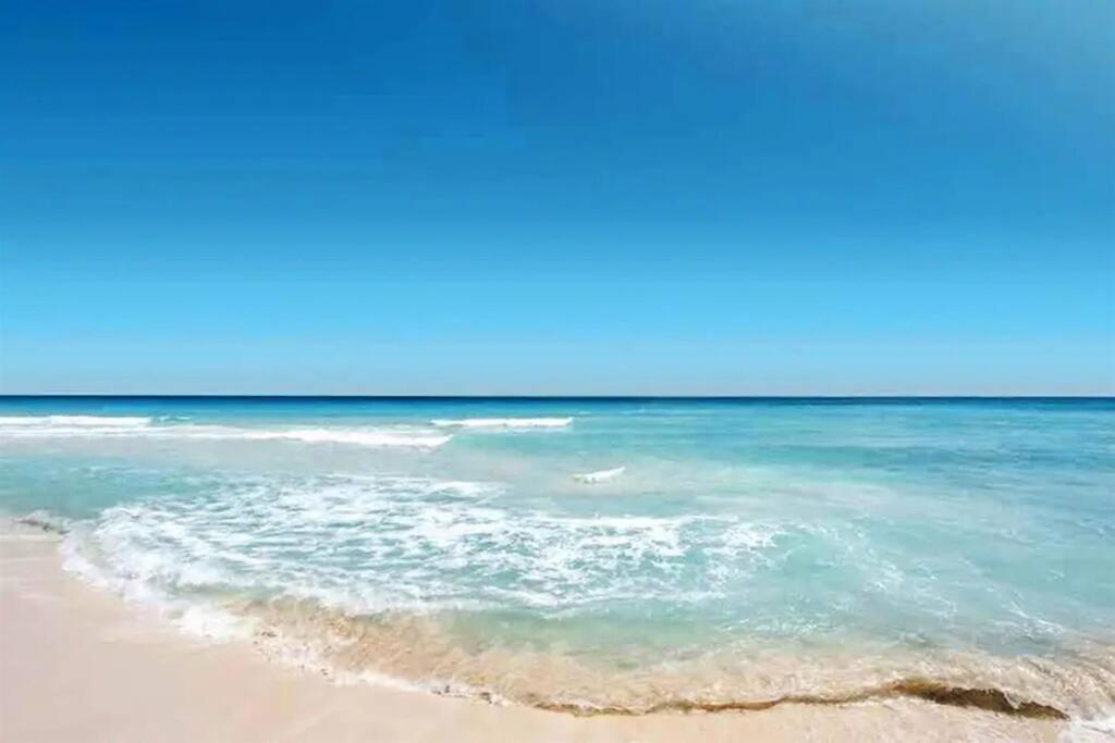 Lovely 1 Bedroom Unit Across From Lido Key Beach Sarasota Zewnętrze zdjęcie